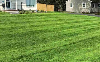 Photo of Regina M.'s yard after getting lawn care in Hilton, NY