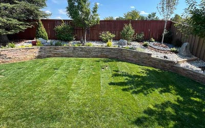 Photo of Stevie G.'s yard after getting lawn care in Highlands Ranch, CO