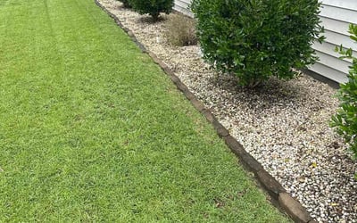 Photo of Rene' C.'s yard after getting lawn care in Magnolia, TX