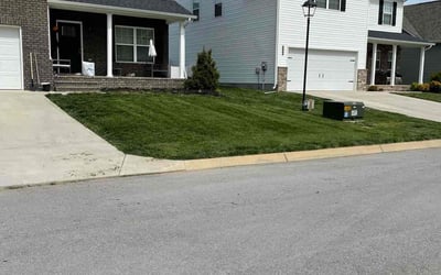 Photo of Katie R.'s yard after getting lawn care in Knoxville, TN