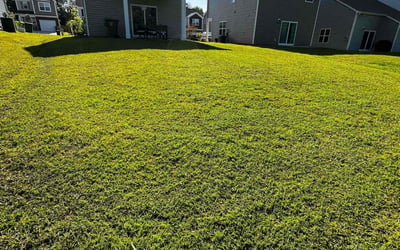 Photo of It8 C.'s yard after getting lawn care in Blythewood, SC