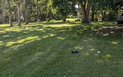 Photo of Shea M.'s yard after getting lawn care in Holt, MI
