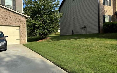 Photo of Dariea S.'s yard after getting lawn care in Hiram, GA