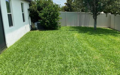 Photo of James A.'s yard after getting lawn care in Laguna Hills, CA