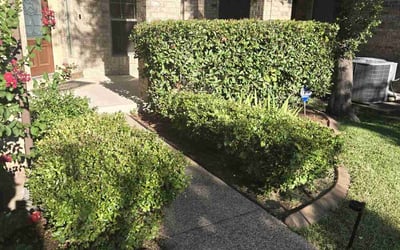 Photo of James M.'s yard after getting lawn care in Hyannis, MA