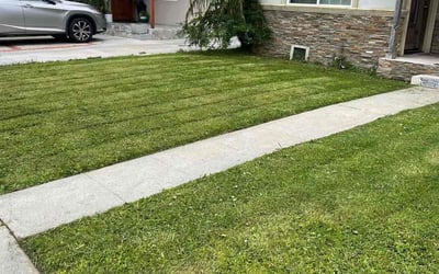 Photo of Felicia S.'s yard after getting lawn care in La Canada Flintridge, CA