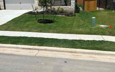 Photo of Mike M.'s yard after getting lawn care in Hull, MA
