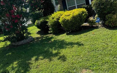 Photo of Tacy N.'s yard after getting lawn care in Mocksville, NC