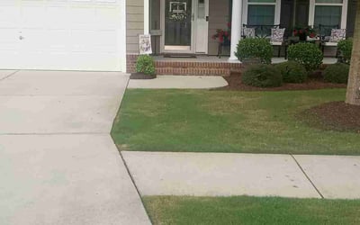 Photo of Todd B.'s yard after getting lawn care in Suffolk, VA
