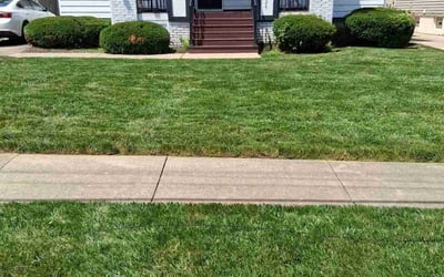 Photo of Eric H.'s yard after getting lawn care in San Antonio, TX