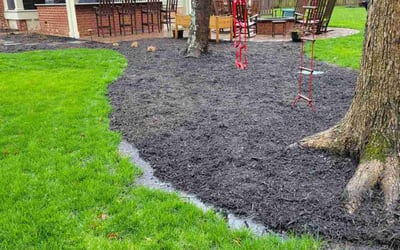 Photo of Drew S.'s yard after getting lawn care in Glen Allen, VA