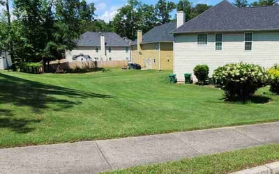 Photo of Deandrea S.'s yard after getting lawn care in Rincon, GA