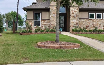 Photo of Melvin K.'s yard after getting lawn care in Sugar Land, TX