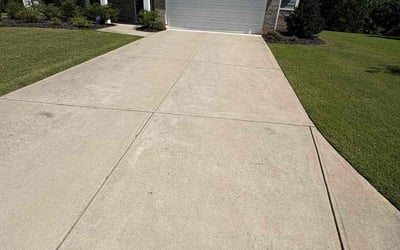 Photo of E C.'s yard after getting lawn care in Tampa, FL