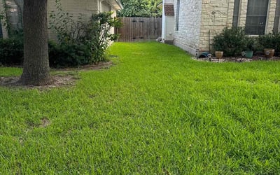 Photo of Jenae T.'s yard after getting lawn care in Spicewood, TX