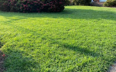 Photo of Jordan B.'s yard after getting lawn care in Virginia Beach, VA