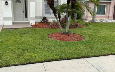 Photo of Jack G.'s yard after getting lawn care in Land O&#039; Lakes, FL