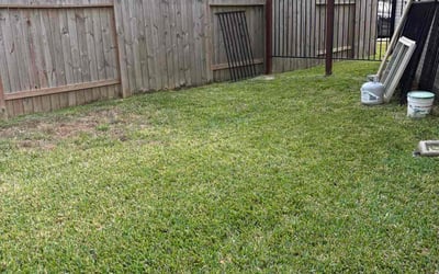 Photo of Max V.'s yard after getting lawn care in Drexel Hill, PA
