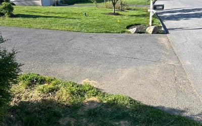 Photo of Lina F.'s yard after getting lawn care in Laurel, DE