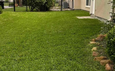 Photo of Nicole L.'s yard after getting lawn care in California City, CA