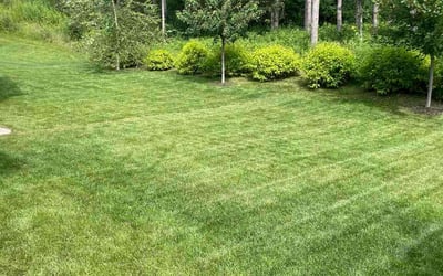Photo of Annette B.'s yard after getting lawn care in Long Beach, MS