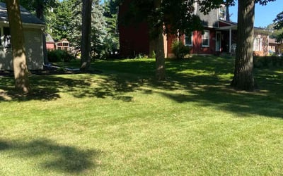 Photo of Naresh B.'s yard after getting lawn care in Lake Orion, MI