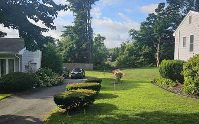 Photo of Ron M.'s yard after getting lawn care in Holden, MA