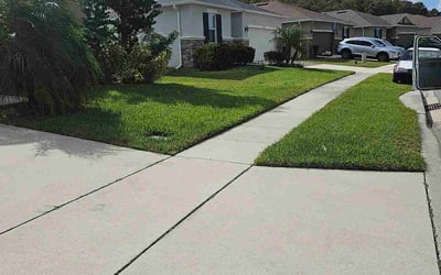 Photo of Cindy A.'s yard after getting lawn care in Laveen, AZ