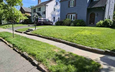 Photo of Allison D.'s yard after getting lawn care in Corona, NY
