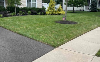Photo of Noel P.'s yard after getting lawn care in Monmouth Junction, NJ