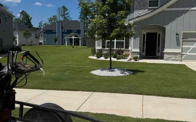 Photo of Robert B.'s yard after getting lawn care in Salisbury, MD