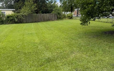 Photo of Stephan A.'s yard after getting lawn care in Ball Ground, GA