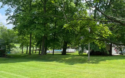 Photo of Bisa D.'s yard after getting lawn care in Philadelphia, PA