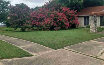 Photo of Bobby G.'s yard after getting lawn care in Luling, TX