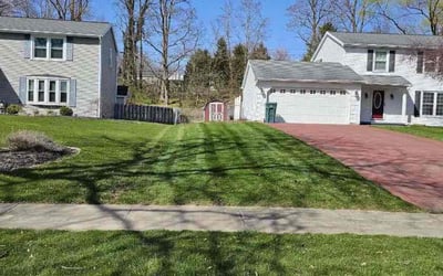 Photo of Mar M.'s yard after getting lawn care in Hilton, NY