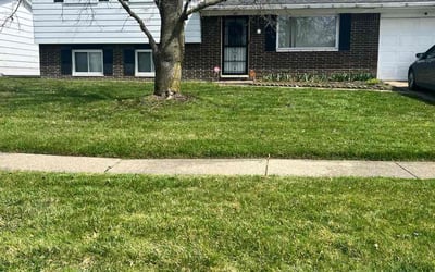 Photo of Angela M.'s yard after getting lawn care in Holland, OH