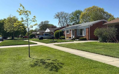 Photo of Walter M.'s yard after getting lawn care in New York, NY