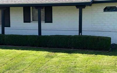 Photo of Sue L.'s yard after getting tree care in Millersville, MD