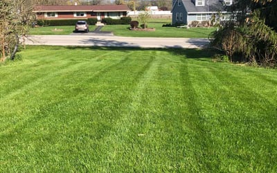 Photo of Cheryle C.'s yard after getting lawn care in Franklin, WI