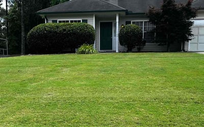 Photo of Alden R.'s yard after getting lawn care in Southbury, CT
