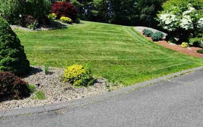 Photo of Araceli O.'s yard after getting lawn care in Ludlow, MA