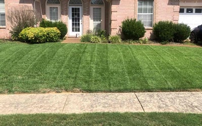 Photo of Randy W.'s yard after getting lawn care in New Haven, CT