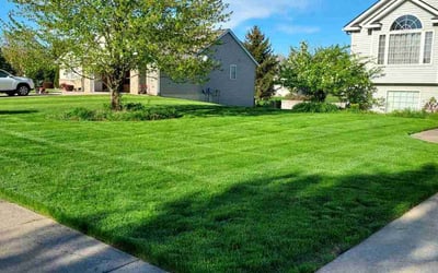 Photo of Ron C.'s yard after getting lawn care in Wyoming, MI
