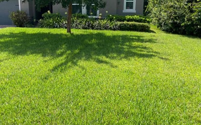 Photo of Savana S.'s yard after getting lawn care in Jackson, MS