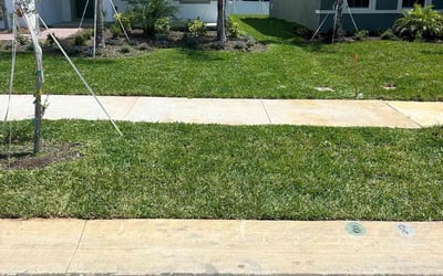 Photo of Alice P.'s yard after getting lawn care in Sebastian, FL
