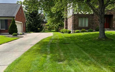 Photo of Karen J.'s yard after getting lawn care in Norwood, OH