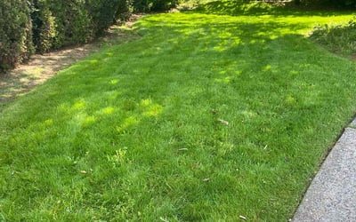 Photo of Yessica M.'s yard after getting lawn care in Vancouver, WA