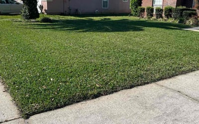 Photo of Stephanie R.'s yard after getting lawn care in El Cerrito, CA