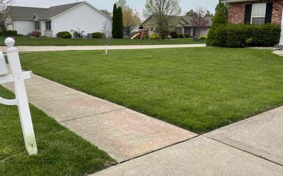 Photo of Michele S.'s yard after getting lawn care in Troy, IL