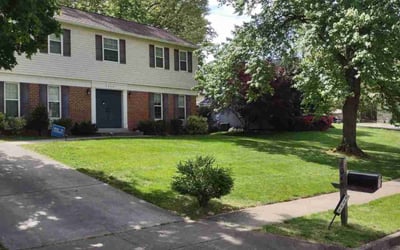 Photo of William T.'s yard after getting lawn care in Burke, VA